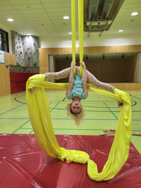 Aerial Silk_